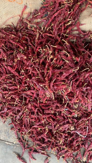 dry chilly papper Texture Dried Aroma Vibrant Purity 100% Natural Flavor Hot And Flavorful Processing Method Sun-dried Active Compounds Capsaicin And - Image 3