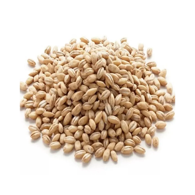 Barley Organic Pearl Barley Grains Exporters High Quality Organic Barley Product For Sales - Image 2
