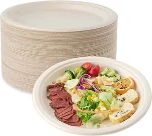 Biodegradable Compostable 90D Plates Custom Embossing MOQ100 1Y - Image 4