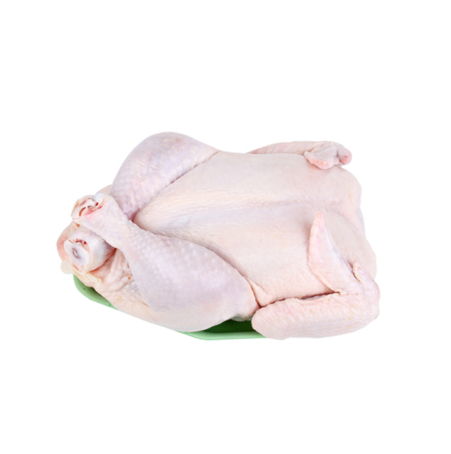 premium frozen chicken cheapest whole raw chicken for sale – product photo 2, product detail gallery
