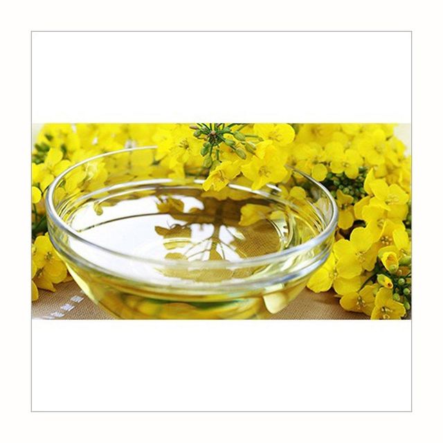 premium refined canola oil for deep frying sautéing baking and grilling light taste cholesterol free cooking oil perfect for healthy meals kitchen use and professional chefs - Image 1
