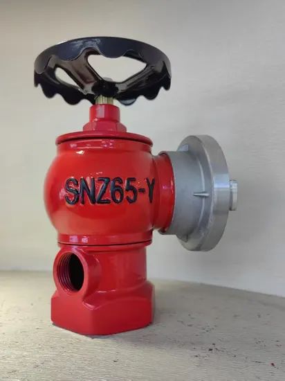 Fire Fighting Equipment and Accessories Hydrant System Valve Indoor Fire Hydrant - Image 5