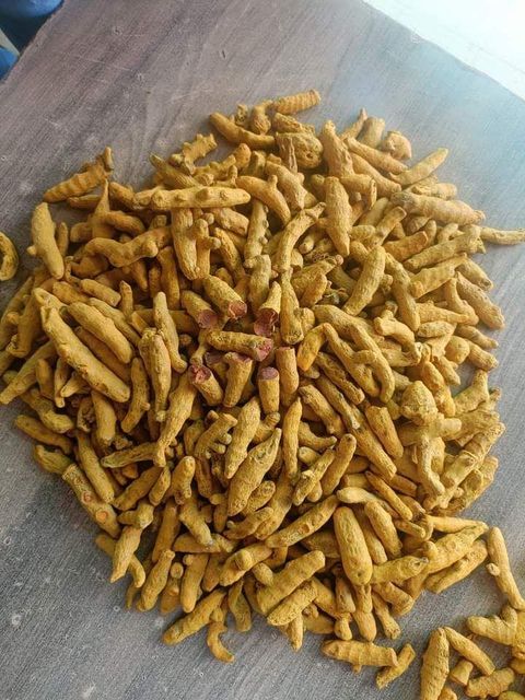 Turmeric finger – product photo 2, product detail gallery