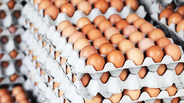 Farm Fresh Brown and White Shell Chicken Table Eggs Grade A Size 5 G Part White Type BROWN Length 3 Cm Style Fresh Organic Yes - Image 1