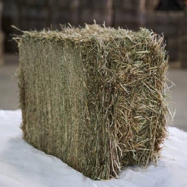 Hot Selling Custom Made Timothy Hay Best Quality Grade Fast Shipping Wholesale Alfalfa Hay Bag Cheap for Horse - Image 2
