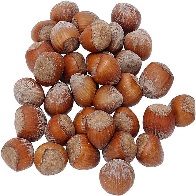 Reliable Chestnuts Whole Nuts Fresh Soft Texture Natural Sweet Flavor Ideal For Roasting Cooking And Food Processing Use Buy Today Fast Delivery Premium Quality Wholesale - Image 4