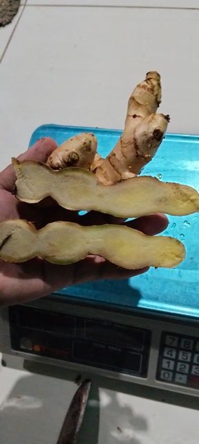 Fresh ginger - Image 3
