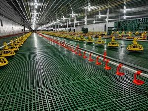 Poultry Farming Equipment Plastic Automatic Chicken Feeding Pan - Image 3