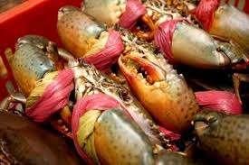 Fresh Crabs Frozen And Fresh Handling Expertise Delivering Premium Seafood Quality For Import Distribution - Image 3
