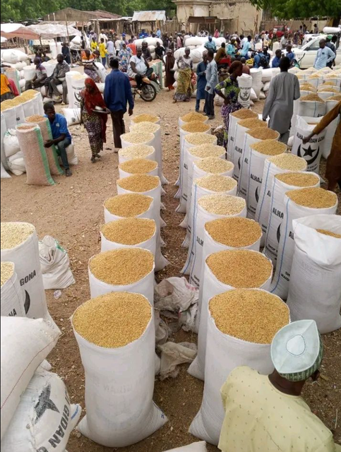 Natural Sesame Seeds Max. Moisture (%) 7% Place of Origin Nigeria Packaging Details Export Standard Aflatoxin ≤ 5 Ppb (meets Eu & Usda Standards) - Image 3