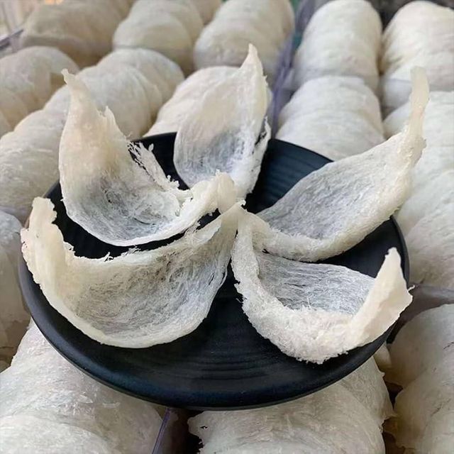 Best quality Edible bird's nest for sales Ash Content ≤ 5% Moisture Content ≤ 10% Protein Content 40–60% Shelf Life 24–36 - Image 1