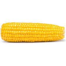 Yellow Corn With Uniform Kernels Yellow Corn Ensuring High Quality And Maximum Satisfaction For Bulk Buyers - Image 5