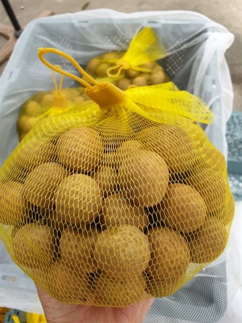 Fresh Longan Vietnam with high quality and best price for export - Image 2