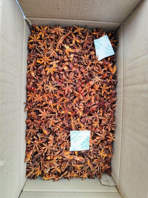 Autumn Star Anise Premium Broken Rate 9% Max Admixture Level 1% Max Moisture Content 13.5% Max Color Natural Yellow - Image 2
