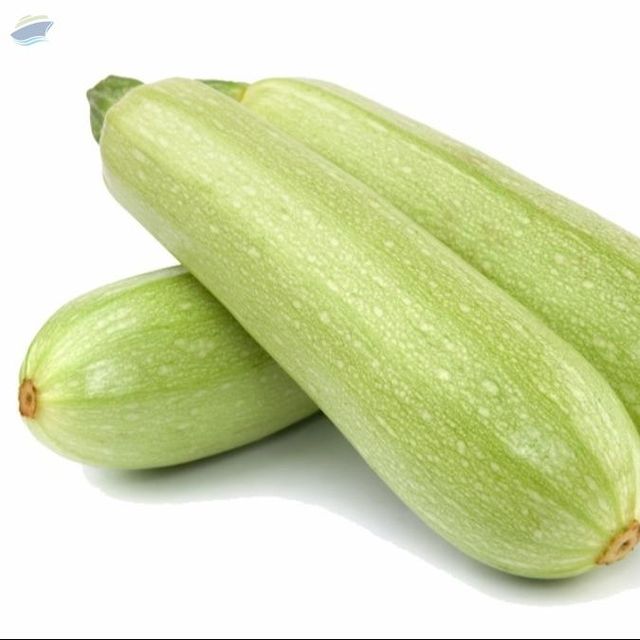 Fresh Zucchini - Image 1