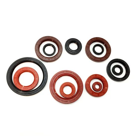 Customized Molded Gasket Rubber Seals EPDM Speed Speed Origin China Model NO. OS Lip Lips Type Trademark SXAN Type - Image 4