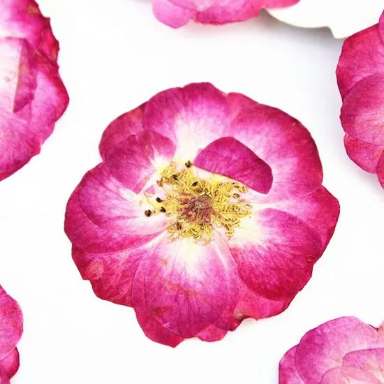 Resin Frame Bookmark Candle Materials DIY Craft Pressed Flower Bubble Rose - Image 2