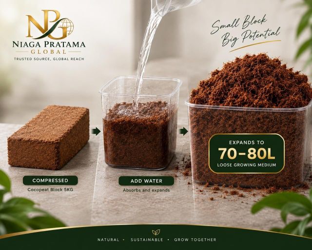 Premium Indonesia + High EC + Cocopeat Block + 5KG + Coconut Coir + Growing Media + Horticulture + Agriculture + Nursery - Image 3