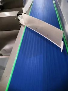 Automatic Weight Grader and Sorting Machine for Poultry and Seafood Processing - Image 6
