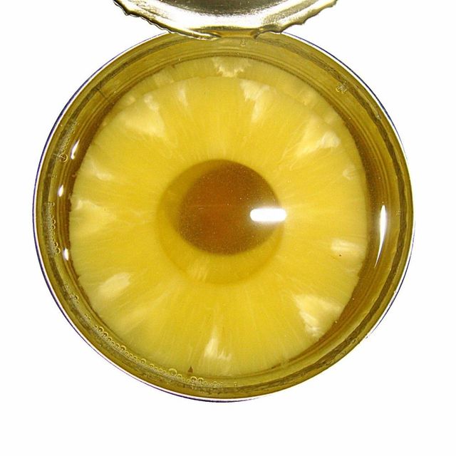 Classic Canned Pineapple In Syrup Premium Tropical Fruit Ready For Desserts Baking Breakfast - Image 1