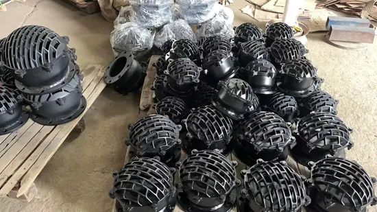 Cast Iron Body 3 in Diameter Check & Foot Valves for Sale - Image 2
