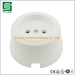 Antiquated Porcelain Flush Mounted Wall Socket Without Ground - Image 5