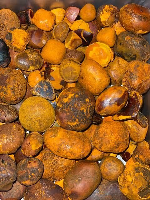 CATTLE GALLSTONES, OX GALLSTONES, COW GALLSTONES - Image 3
