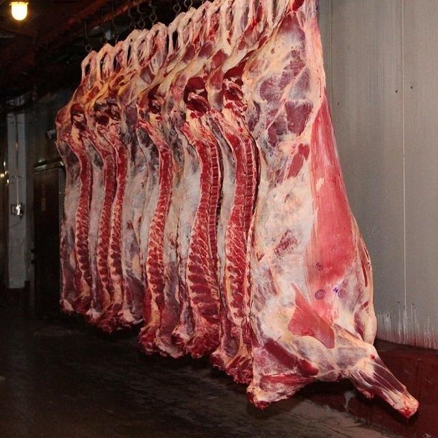 Wholesale Frozen Beef Carcass with Carefully Processed Cuts for Food Service Businesses Industrial Meat Applications - Image 5