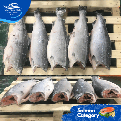 Frozen Coho Salmon Cif Price 8,80 Usd/kg Weight Per Unit 3-4 Kg Packing Weight 20 Kg/carton Minimum Order Quantity 5 Tons - Image 2