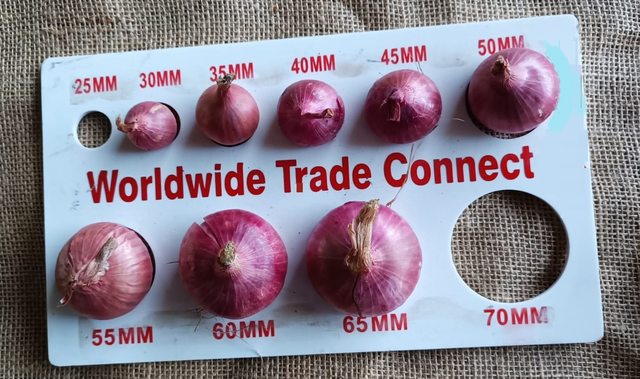 Onions Grade A Grade Color Pink (Garwa viriety) Size 25mm+ to 55mm+ as per client's requirement Packaging 1 Kg to 50 Kg in mesh/jute bags as per client's - Image 1