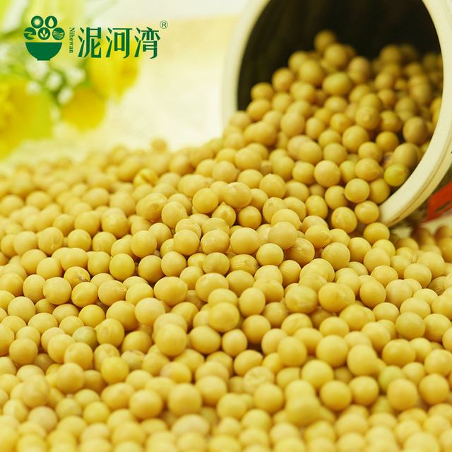 2023 Crop Chinese High Protein soya en grano Yellow Soybean Soya Beans / Soy Bean For Sale - Image 3
