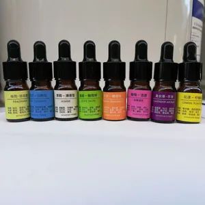 Glass Bottle Diffuser Stone Essential Oil for Air Freshener - Image 2