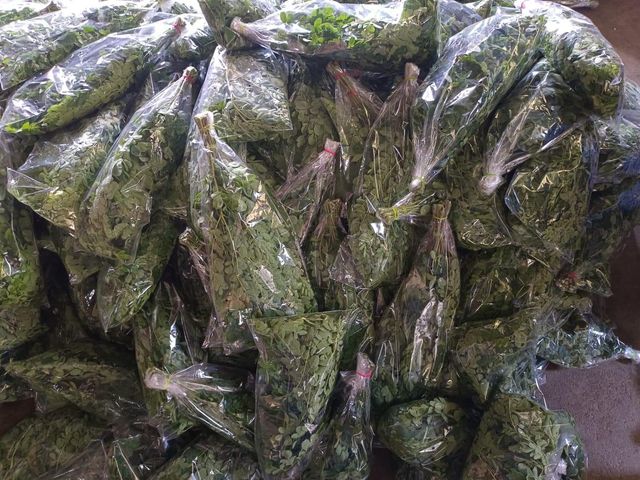 Fresh Moringa leaves - Image 2
