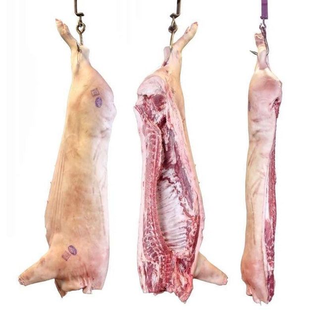 first class Halal Frozen Whole Beef Carcass Wholesale In Bulk - Image 3