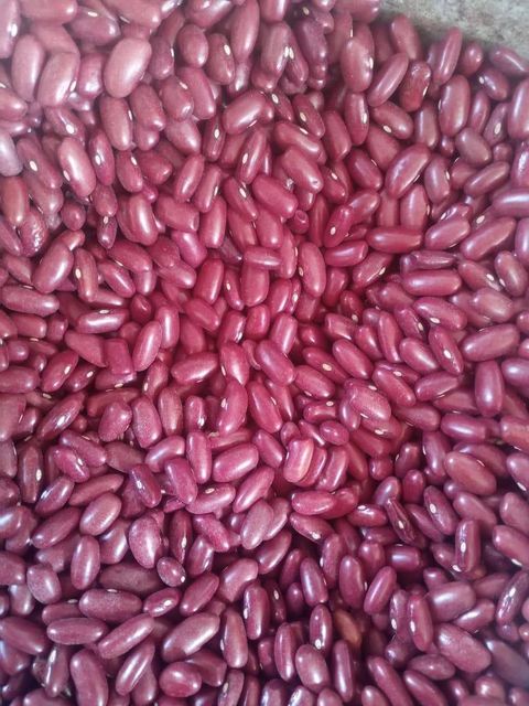 Red Speckled Kidney Beans - Image 1