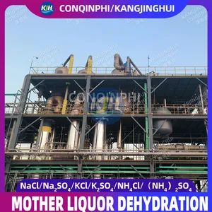Forced Circulation Triple-Effect Evaporation Freeze Crystallization Equipment - Image 4