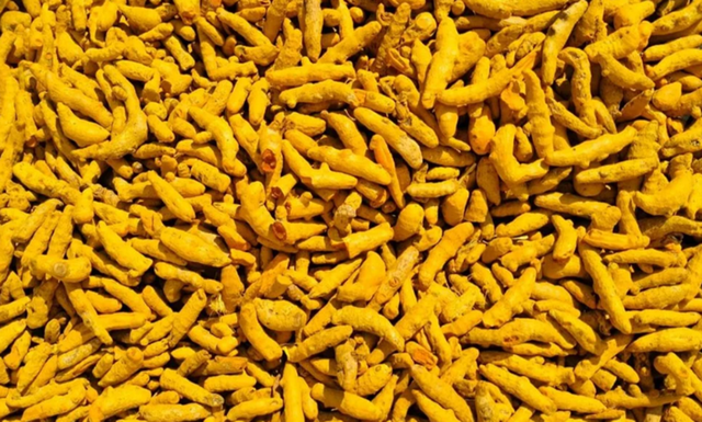Turmeric Finger – product photo 2, product detail gallery