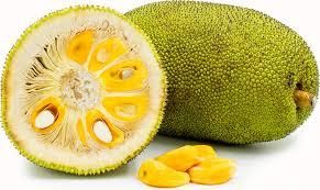 Fresh Jackfruit – Nutrient-Rich Tropical Fruit | Sweet & Versatile Superfood for wholesale and retail - Image 1