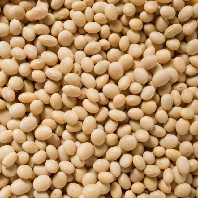 Organic Yellow Soybeans – Non GMO Soybeans for Export Organic Powder Herba Spices Wholesale Price - Image 3
