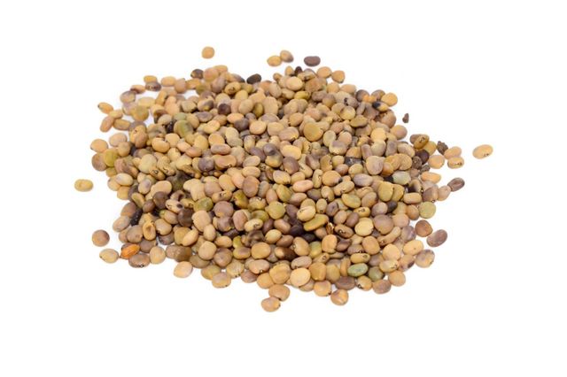 Guar Seeds - Image 1