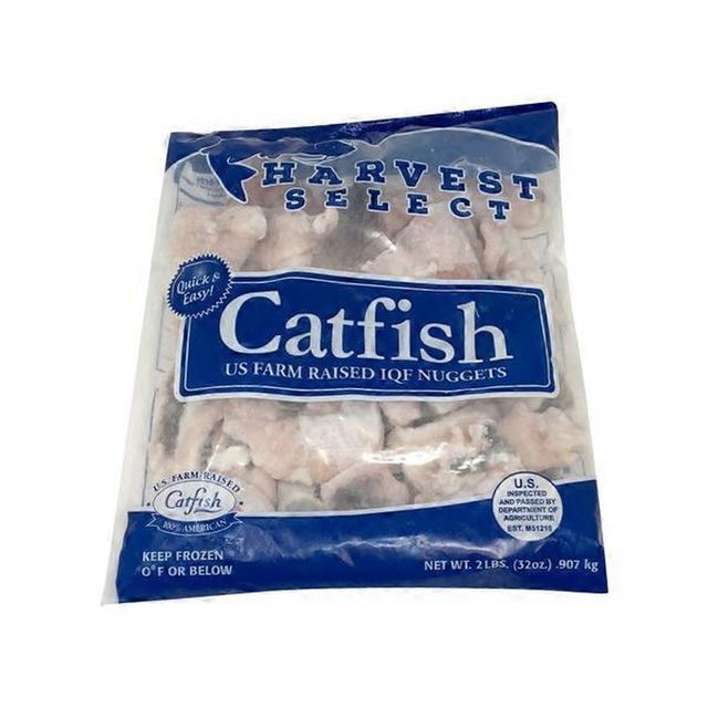 Frozen Catfish Skinless Fillet Frozen Seafood Choice For Importers Retail Suppliers And Seafood Wholesalers - Image 3