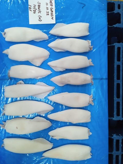 Squid Whole Freshness Level Frozen Features No Artificial Flavors - Image 2