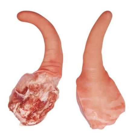 Frozen pork tail bulk wholesale supply chilled and frozen for restaurants and importers - Image 4