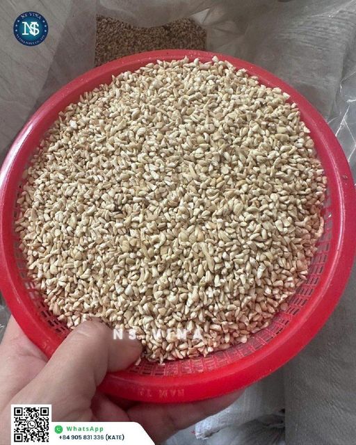 Cashew Nuts W240,W320, SW, WS, LP, SP, BB,.. Grade Vietnam supplier Moisture (%) 5% Packaging Vacuum bag/tin Broken: 5% , Grade: A , Shelf Life: 24 months - Image 1