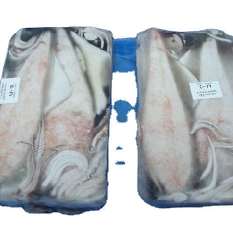 SQUID CUTTLEFISH OCTOPUS WHOLE CLEANED FROZEN SEAFOOD PRODUCT - Image 1