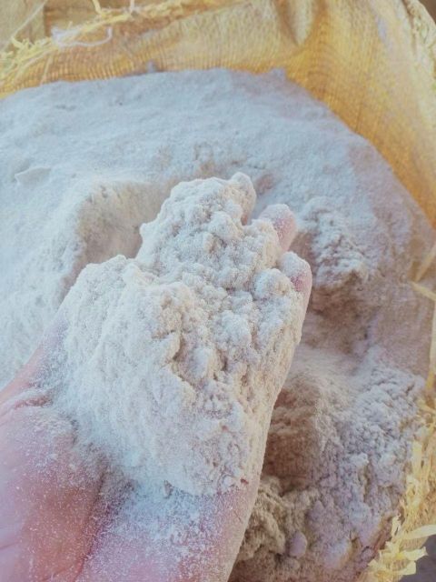 Natural Sugarcane Bagasse Powder Content None Origin Thailand Shelf Life 12 Months Sugarcane Bagasse Powder N/A, N/a Sto - Image 3