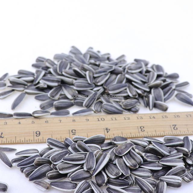 Bulk Inner Mongolia Sunflower Seeds Organic Sunflower Seeds For Human Consumption - Image 4