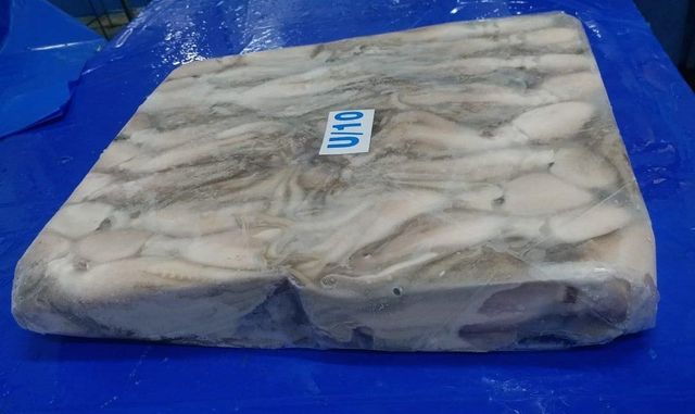 Amaze Seafood Trade - Offering Frozen Baby Octopus whole and cleaned - Image 5