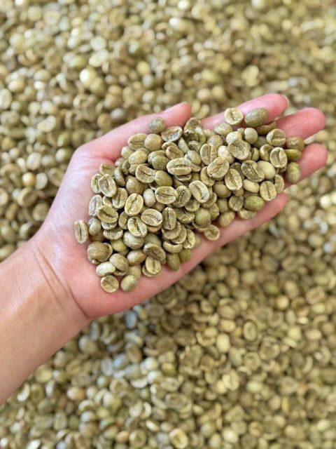 Coffee - Image 18