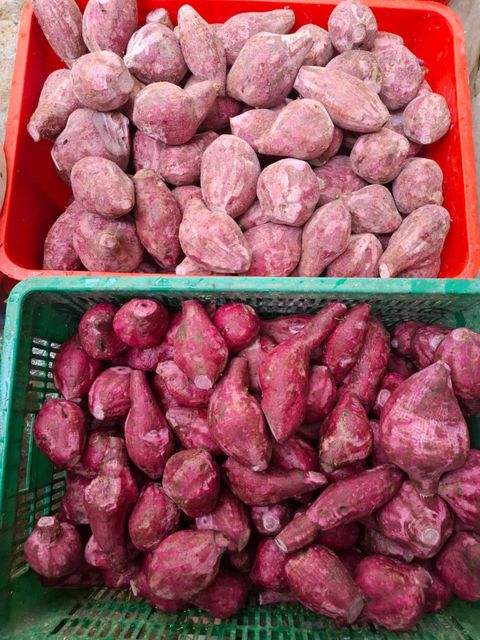 Purple Sweet Potato Powder Colorants None Additives None Shape fine powder Form Mesh 20 - 60 Hs Code 1106.20.10 Preservatives None - Image 3